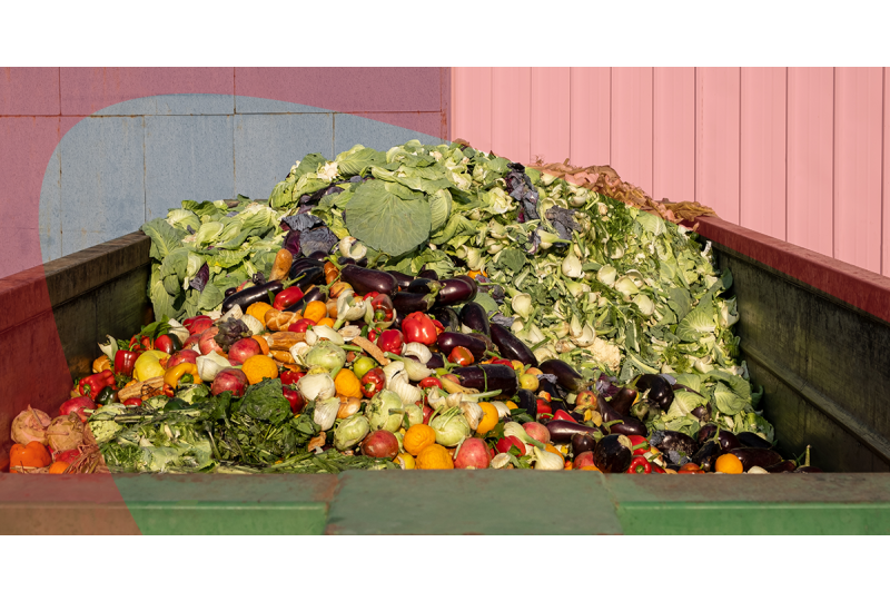 Organic waste bin