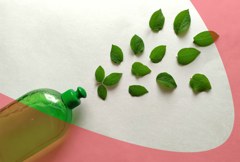 Sustainable Dish Soap Bottle With Green Leaves