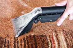 Carpet Cleaners