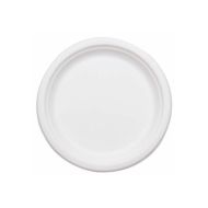 Product Bagasse Disposable Plates - White 8.75" 500/CS