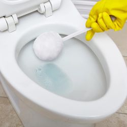 Toilet Bowl Swab - White