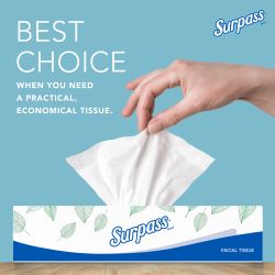  Surpass® Facial Tissue - White 2-Ply 30x100 Sheets