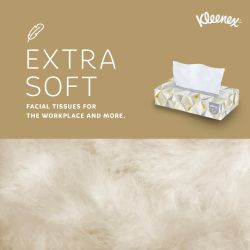 Kleenex® Professional Flat-Box Facial Tissue - White 2-Ply 48x125 Sheets