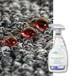 Swish Clean & Green® Stain & Spot Remover - 946mL