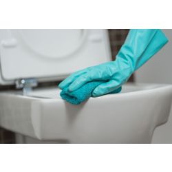 Swish® GM Klinger Urinal & Bowl Cleaner - 1L