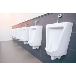 Swish® GM Klinger Urinal & Bowl Cleaner - 1L