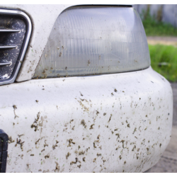 Swish® Vehicle Wash Cleaner