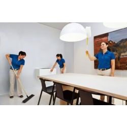 3M Easy Trap™ Sweep & Dust Sheets - 60 Sheets
