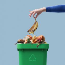 Swish® Green Bin Odour Eliminator - 946mL