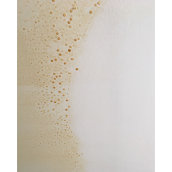 Swish® Powerhouse™ Spray & Wipe Cleaner