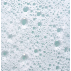 Swish Clean & Green® Dish Detergent - 740mL