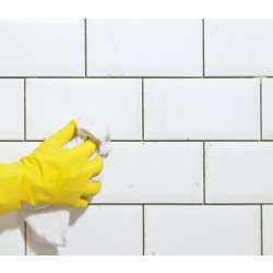 Swish® Tuby™ Washroom Spray Cleaner