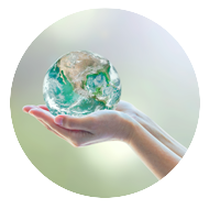 Product Shop Ad Cleaning environmental